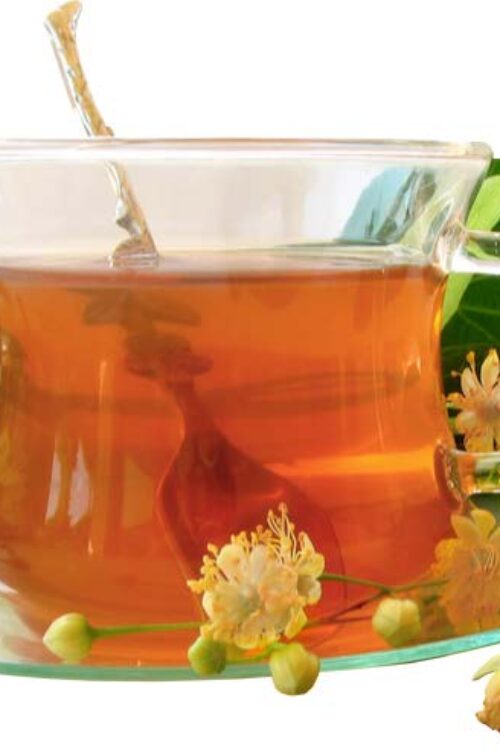 Nilgiri’s Botanical Teas