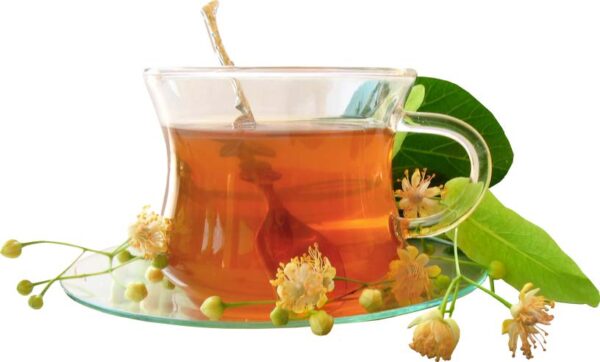 Nilgiri's Botanical Teas